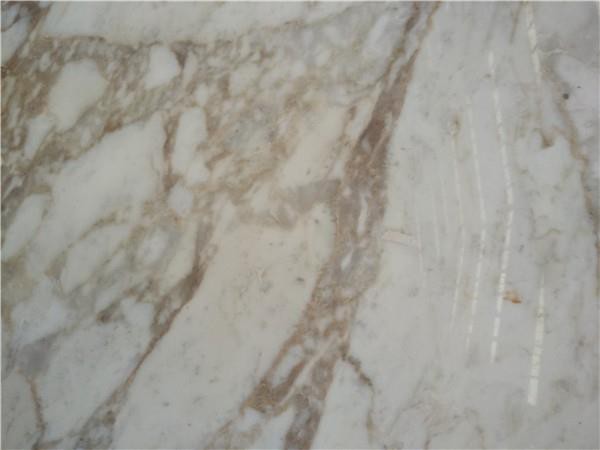 calacatta gold marble slab supply